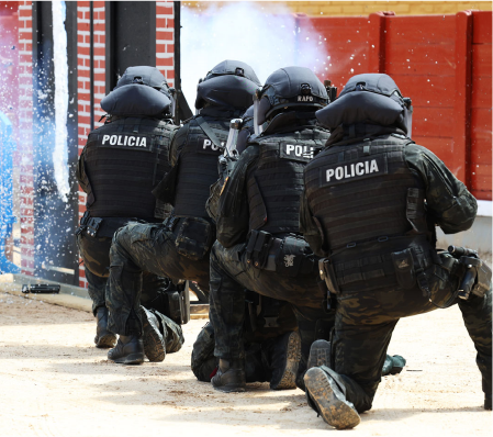 Policías en acción